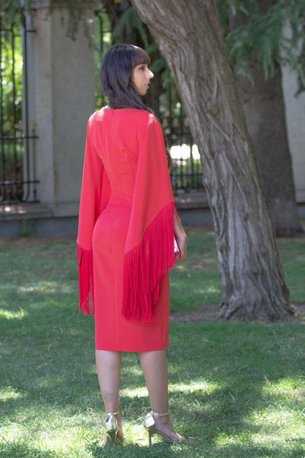 VESTIDO FLECOS MANGAS - Imagen 3